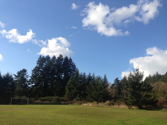 屡登上头条