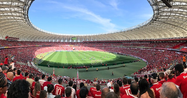 尼克斯在增